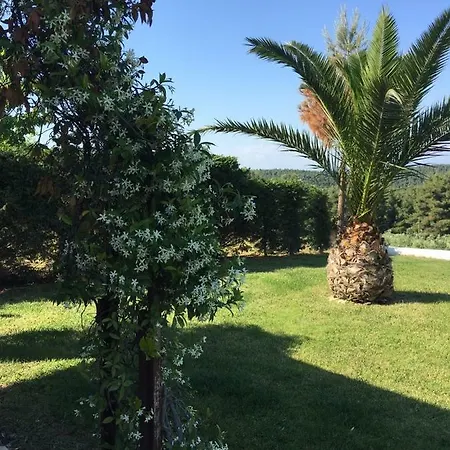 3 Bedroom In Elani Chalkidiki