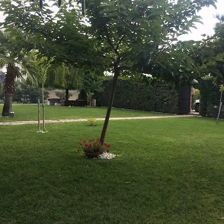 3 Bedroom In Elani Chalkidiki * Siviri